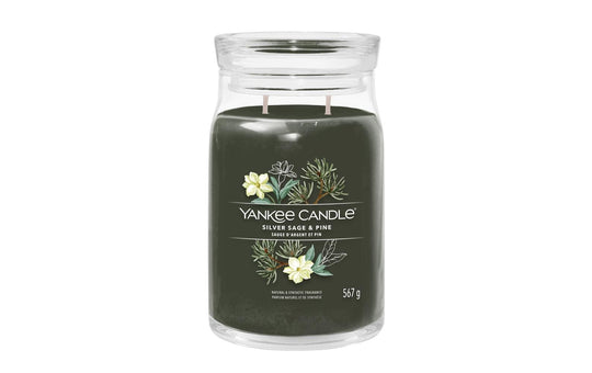 Yankee Candle Silver Sage & Pine