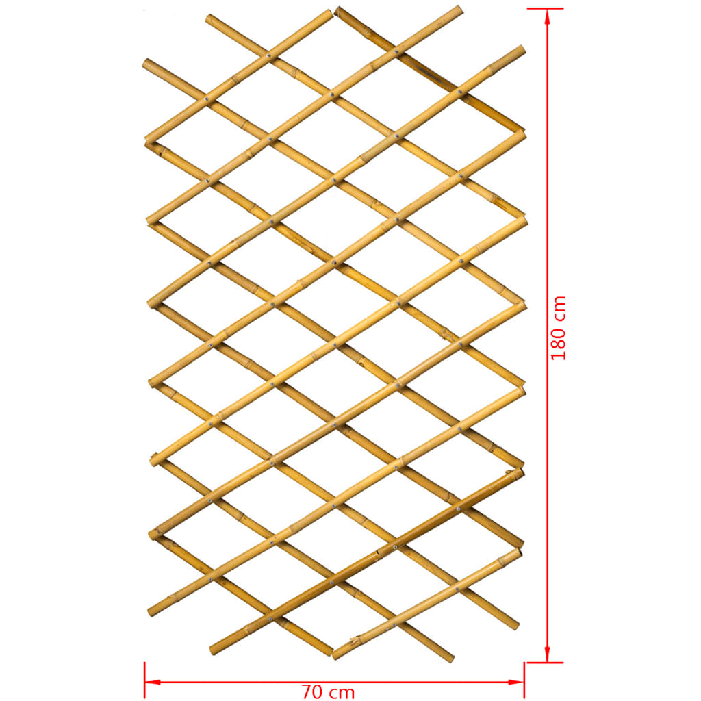 Nature Garten Gitter 70x180 cm Bambus 6040721