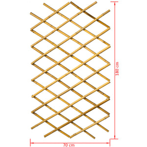 Nature Garten Gitter 70x180 cm Bambus 6040721