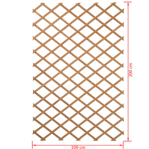 Nature Garten-Rankgitter 100x200 cm Holz Natur 6041703