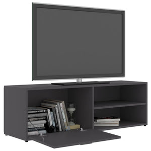 vidaXL TV-Schrank Grau 120x34x37 cm Holzwerkstoff