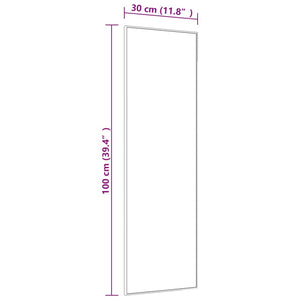 vidaXL Türspiegel Golden 30x100 cm Glas und Aluminium