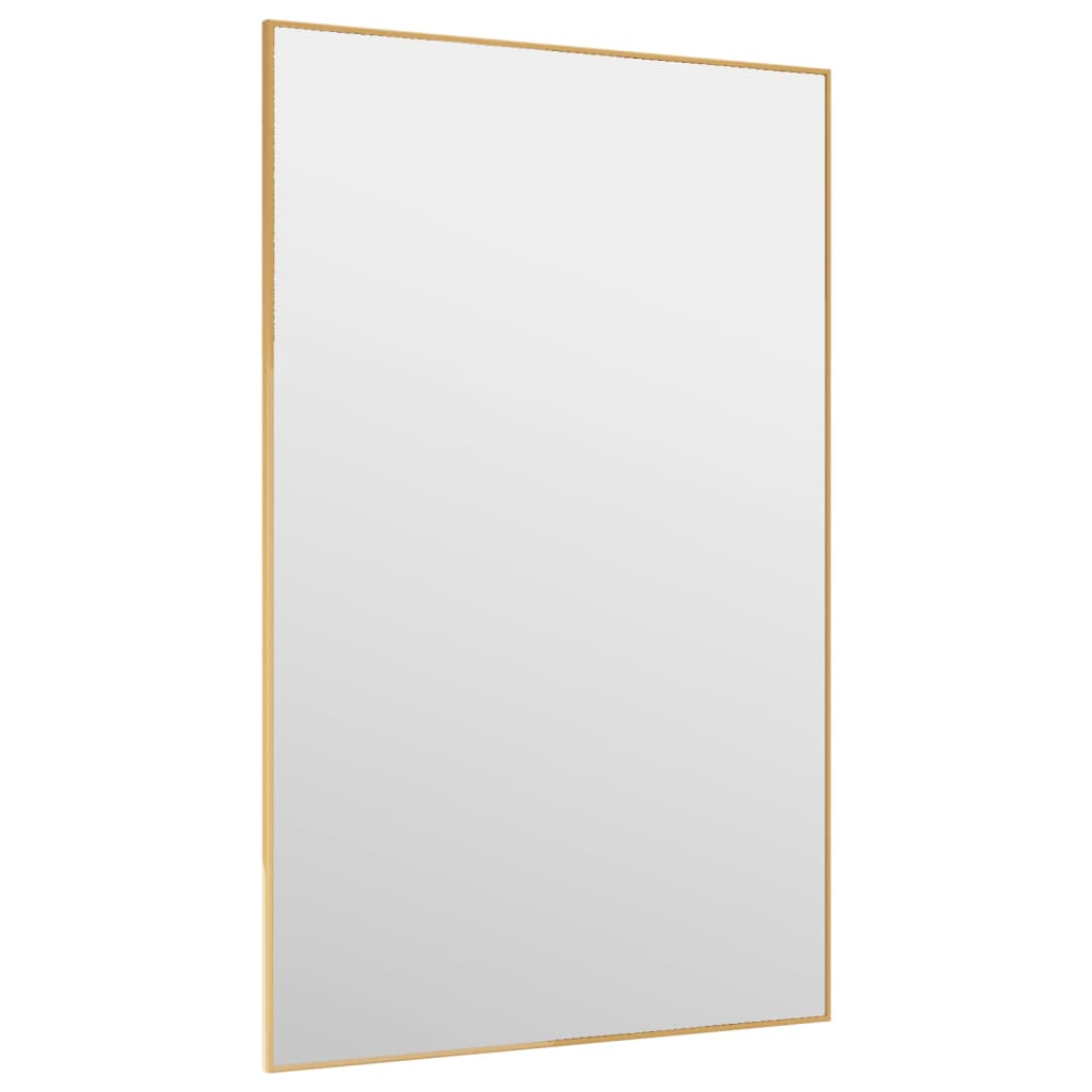 vidaXL Türspiegel Golden 50x80 cm Glas und Aluminium