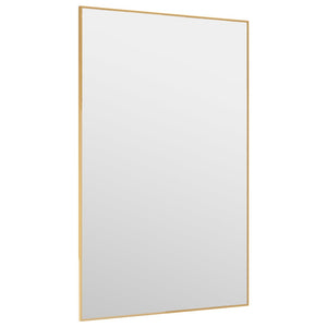 vidaXL Türspiegel Golden 50x80 cm Glas und Aluminium