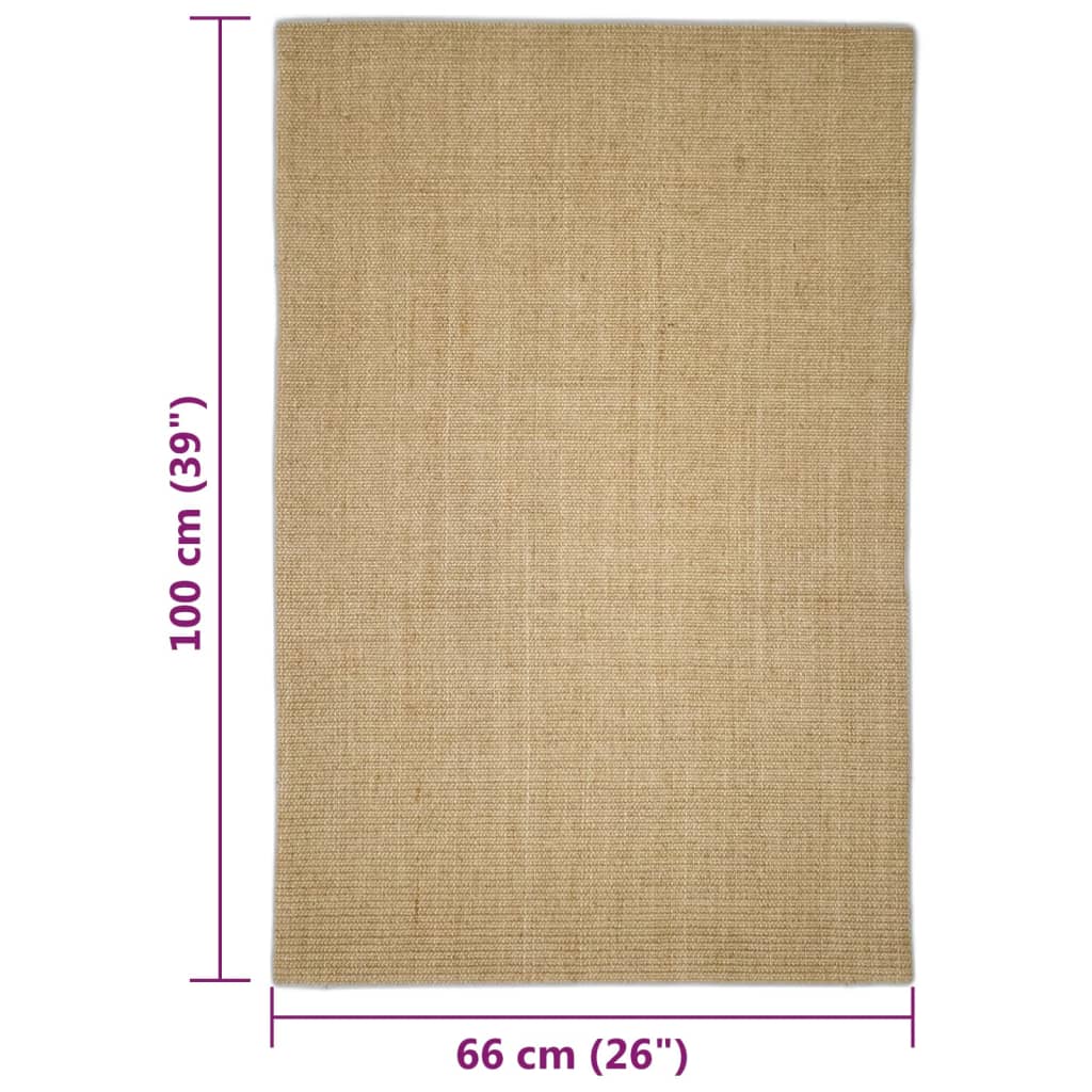 vidaXL Teppich Natur Sisal 66x100 cm