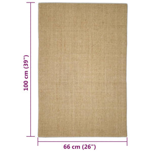 vidaXL Teppich Natur Sisal 66x100 cm