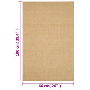 vidaXL Teppich Natur Sisal 66x100 cm