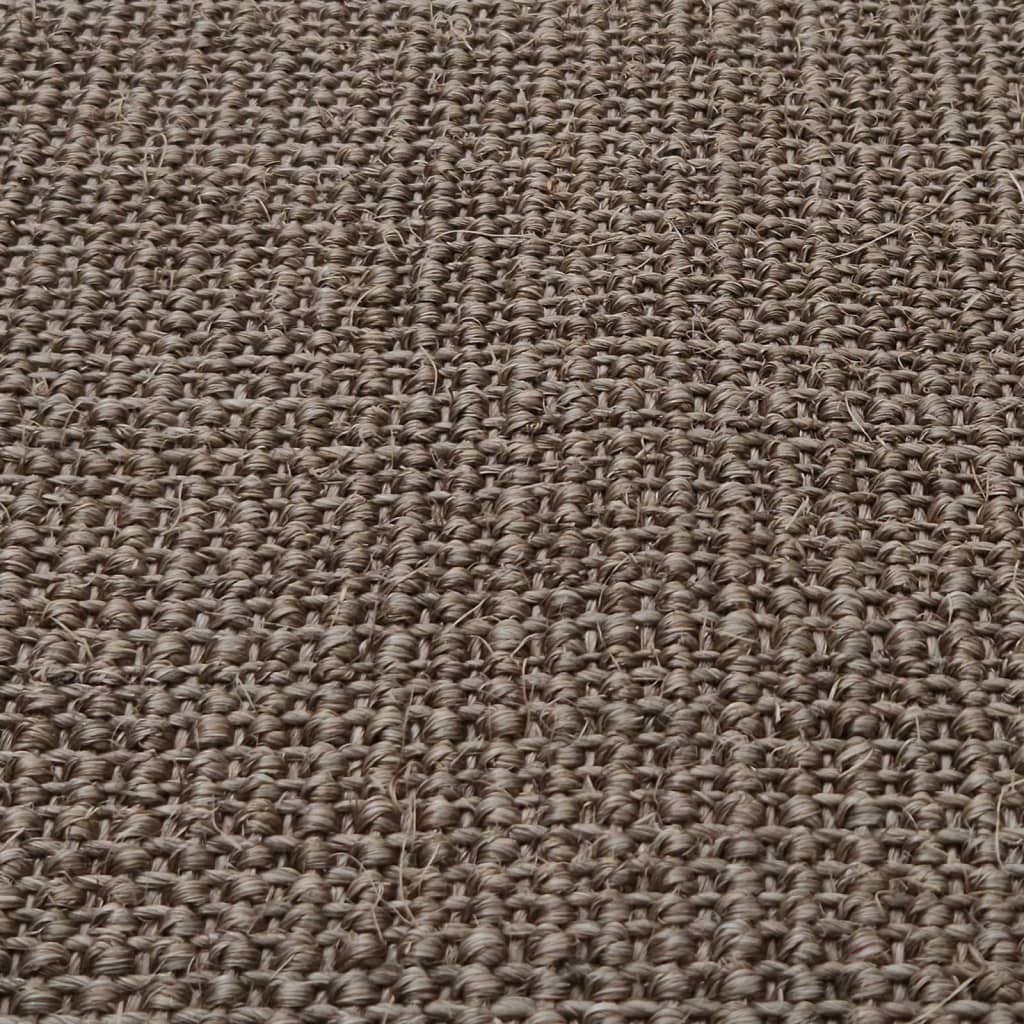 vidaXL Teppich Natur Sisal 66x250 cm Braun