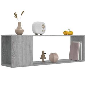 TV-Schrank Grau Sonoma 100x24x32 cm Holzwerkstoff VIDAXL