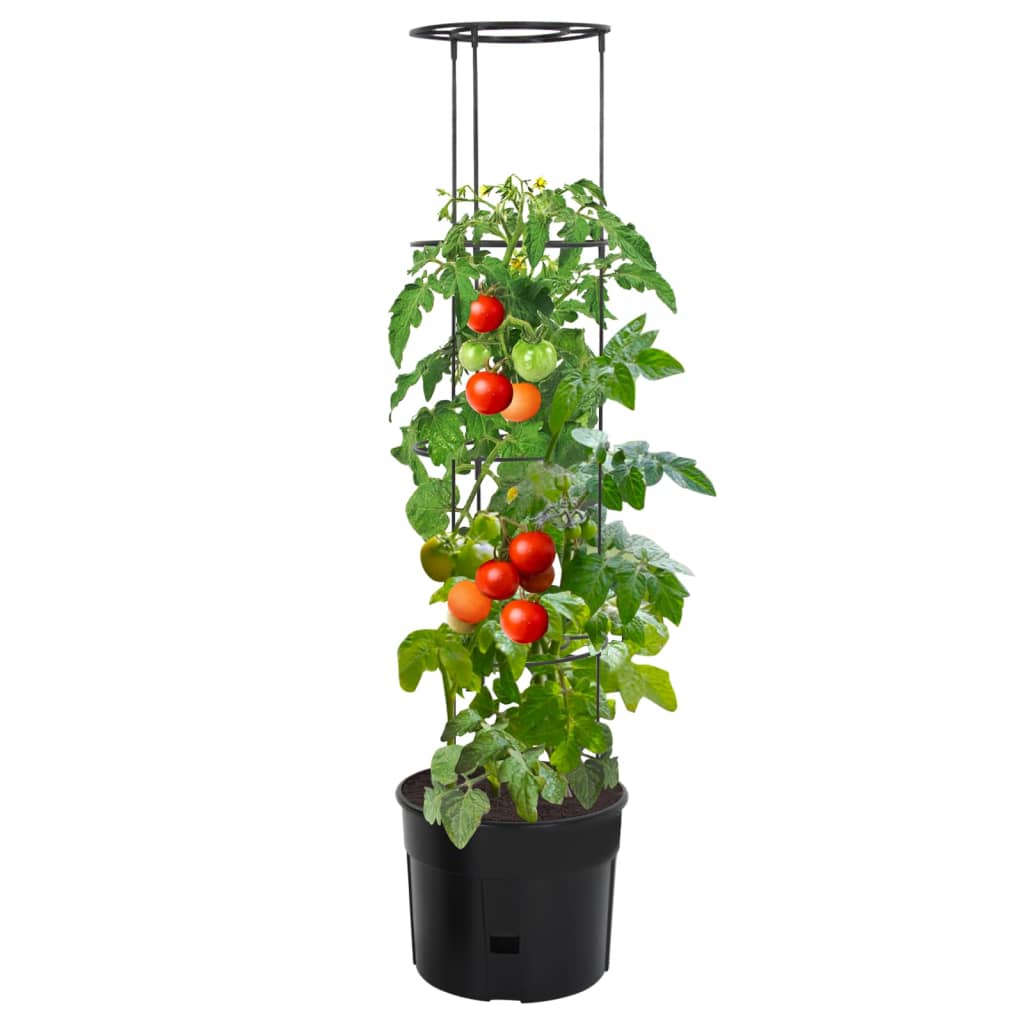 Tomatentopf Anthrazit Ø39x150 cm Polypropylen Stilecasa