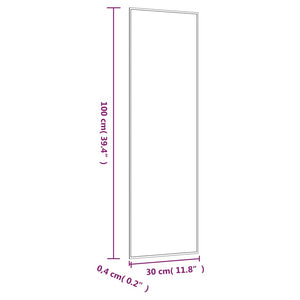 vidaXL Wandspiegel 30x100 cm Glas Rechteckig