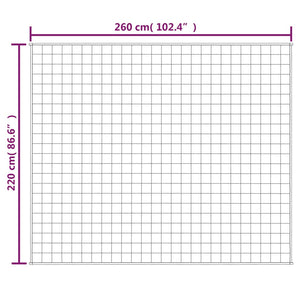 vidaXL Gewichtsdecke Grau 220x260 cm 15 kg Stoff