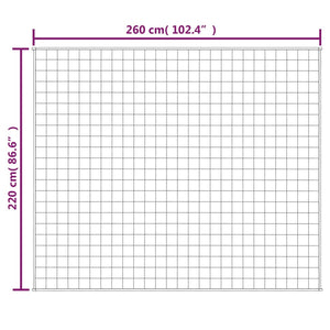 vidaXL Gewichtsdecke Hellcreme 220x260 cm 11 kg Stoff