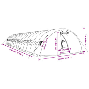 Gewächshaus mit Stahlrahmen Weiß 80 m² 16x5x2,3 m VIDAXL