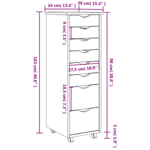 Rollschrank mit Schubladen MOSS Grau Massivholz Kiefer Stilecasa