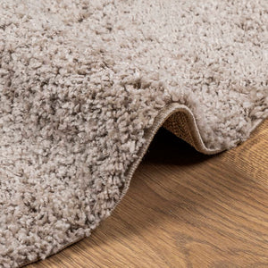 vidaXL Shaggy-Teppich PAMPLONA Hochflor Modern Beige Ø 160 cm