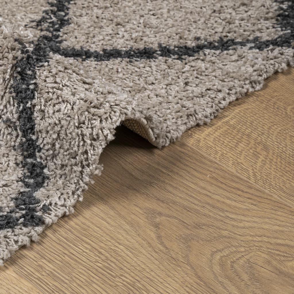 vidaXL Teppich Shaggy Hochflor Modern Beige und Anthrazit 80x200 cm