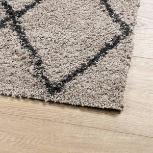 Teppich Shaggy Hochflor Modern Beige und Anthrazit 120x170 cm Stilecasa