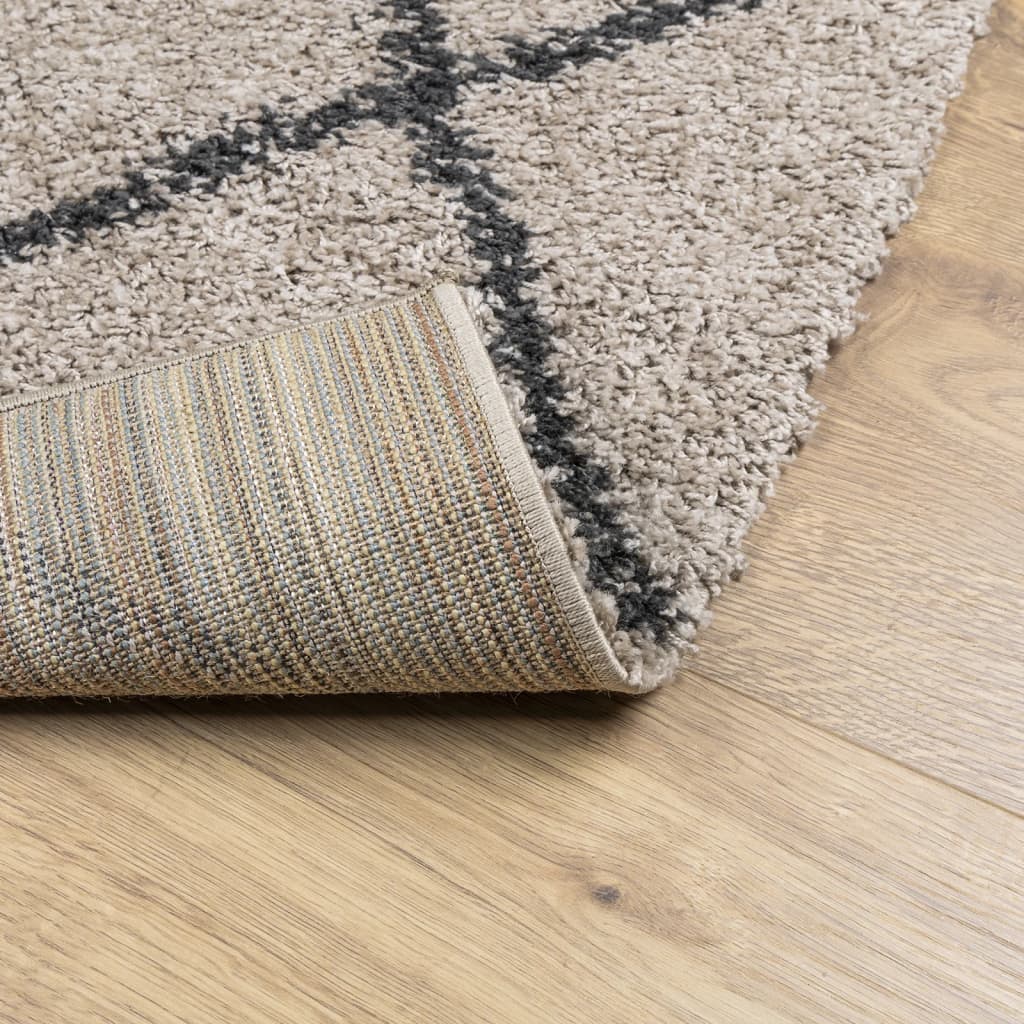 Teppich Shaggy Hochflor Modern Beige und Anthrazit 120x170 cm Stilecasa