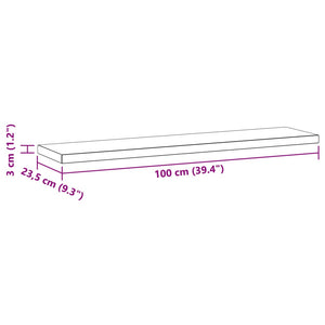 Wandregale 2 Stk. 100x23,5x3 cm Silbern Edelstahl Stilecasa