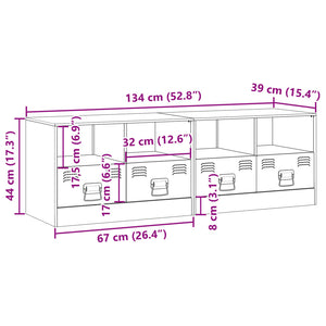 vidaXL TV-Schränke 2 Stk. Schwarz 67x39x44 cm Stahl