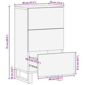 vidaXL Sideboard 40x34x75 cm Raues Massives Mangoholz