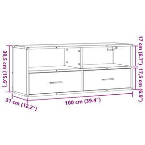 TV-Schrank Grau Sonoma 100x31x39,5 cm Holzwerkstoff und Metall