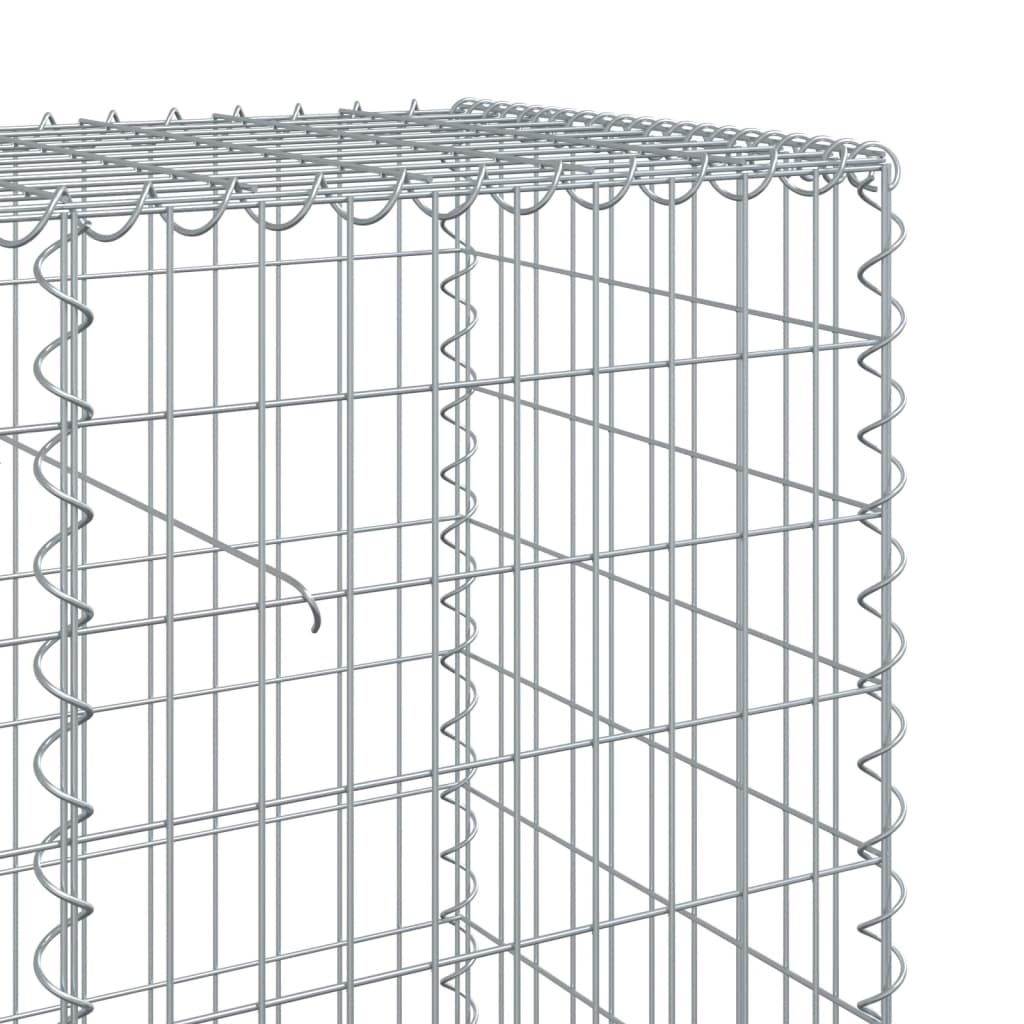 Gabione mit Deckel 100x50x100 cm Verzinktes Eisen