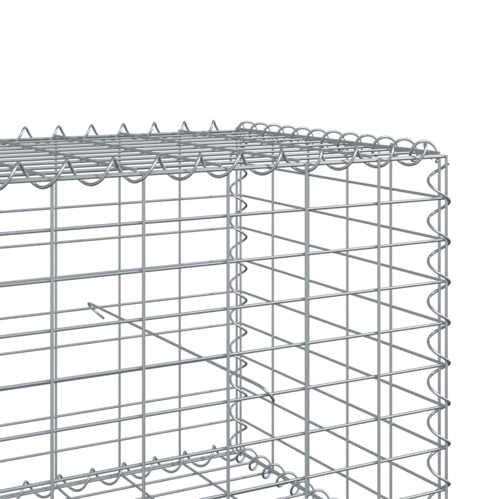 Gabione mit Deckel 300x100x50 cm Verzinktes Eisen