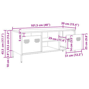 vidaXL TV-Schrank Schwarz 101,5x39x43,5 cm Kaltgewalzter Stahl