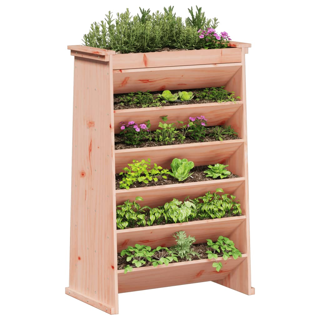 Vertikalbeet mit 6 Fächern 69x40x101,5 cm Massivholz Douglasie