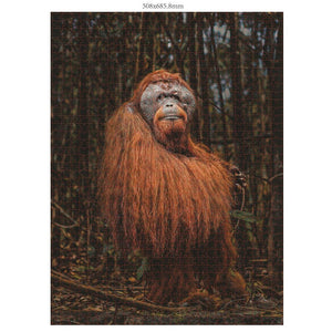 Orang-Utan 1000 Teile (Donal Boyd)