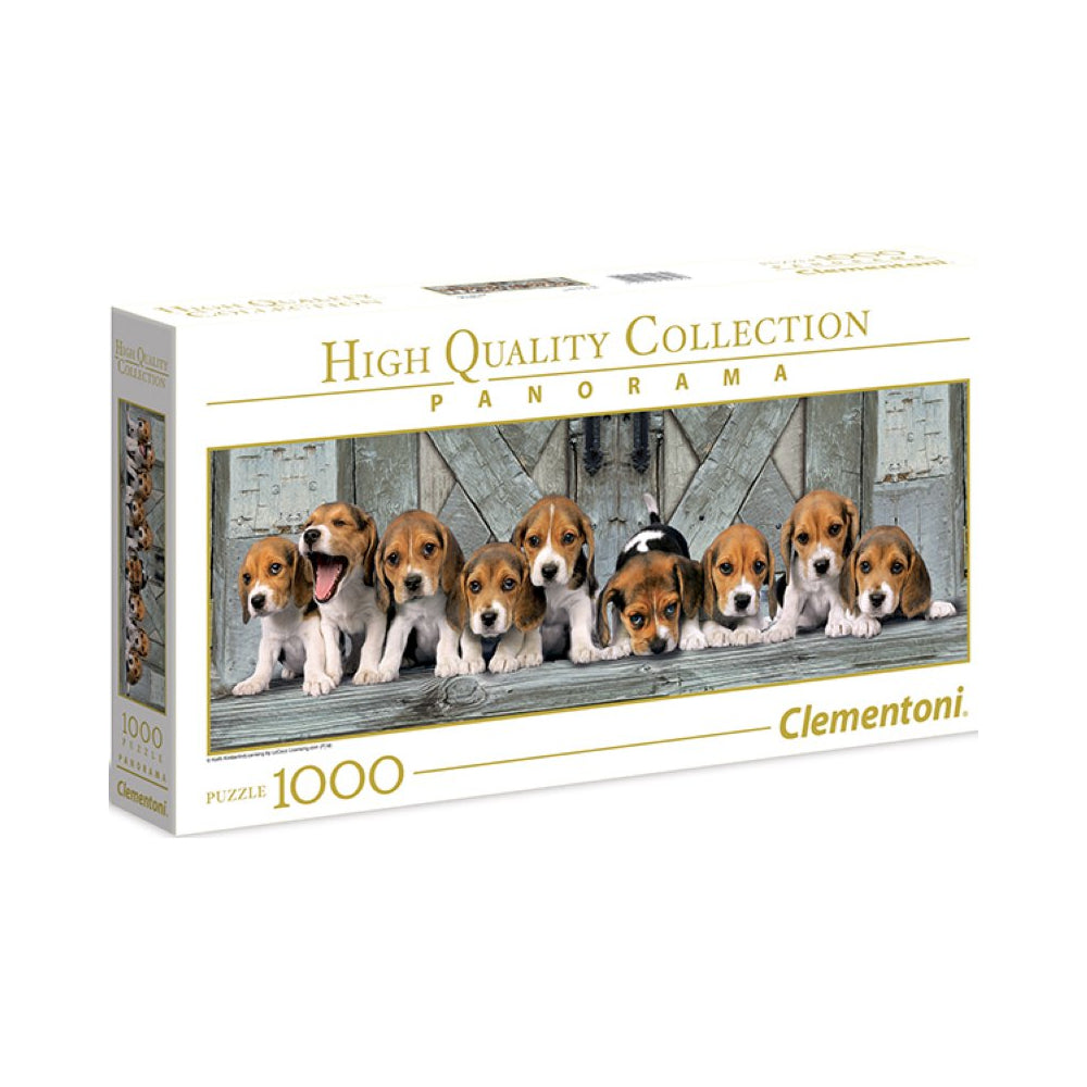 Panorama Hunde Beagles