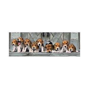 Panorama Hunde Beagles