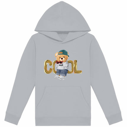 Kappuzenpulli Teddy Cool - vorderseite_heidekrautgrau