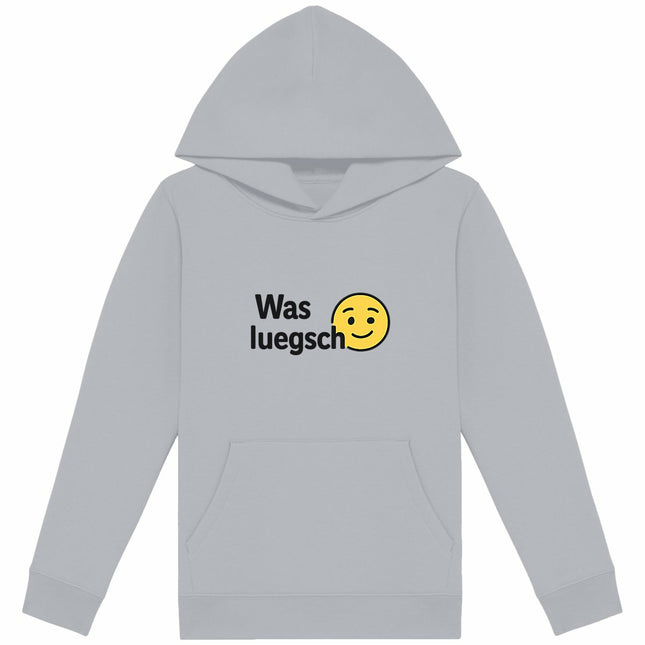 Pulli was luegsch? - vorderseite_heidekrautgrau