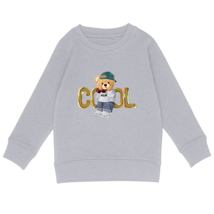 Sweatshirt Teddy Cool - vorderseite_heidekrautgrau