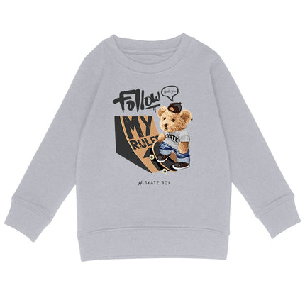 Sweatshirt Teddy Skate Boy - vorderseite_heidekrautgrau